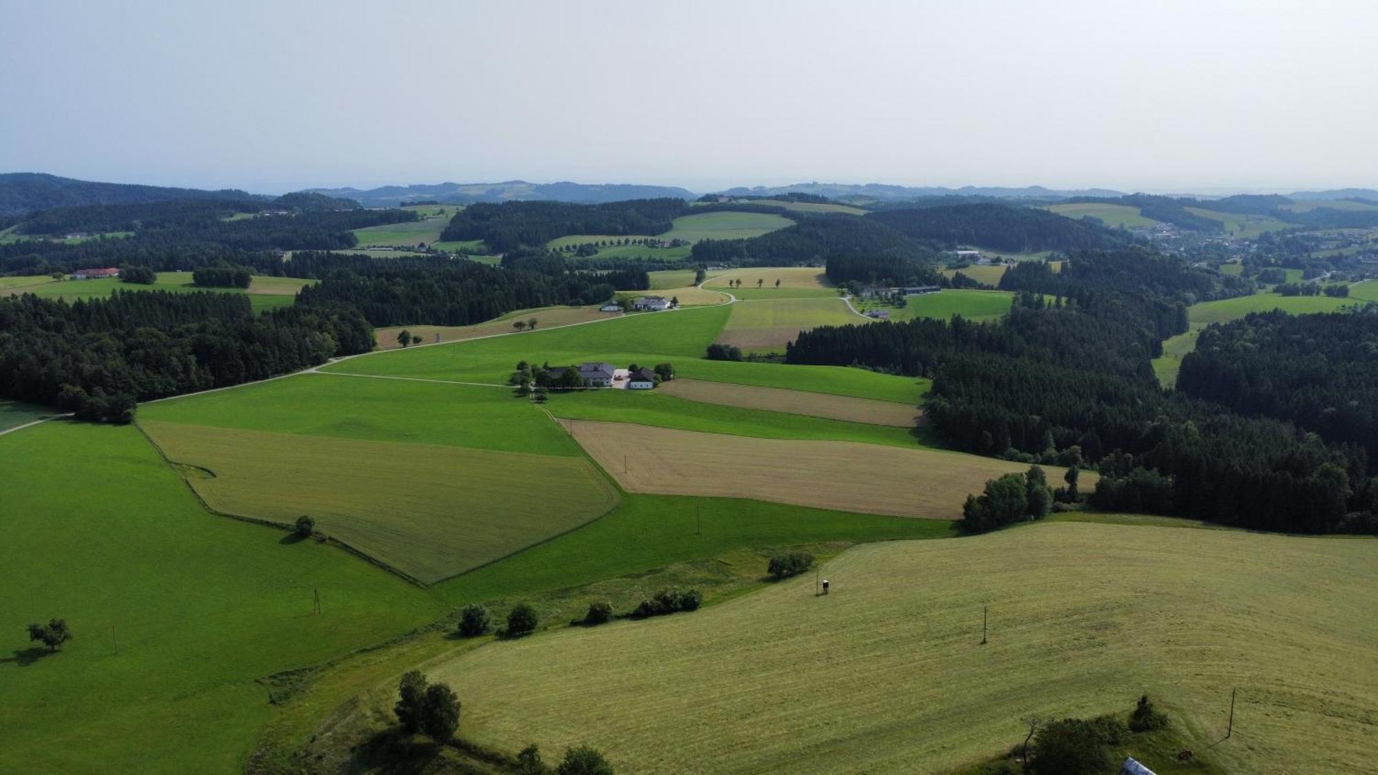 Haus Im Gruenen Prázdninový dům *