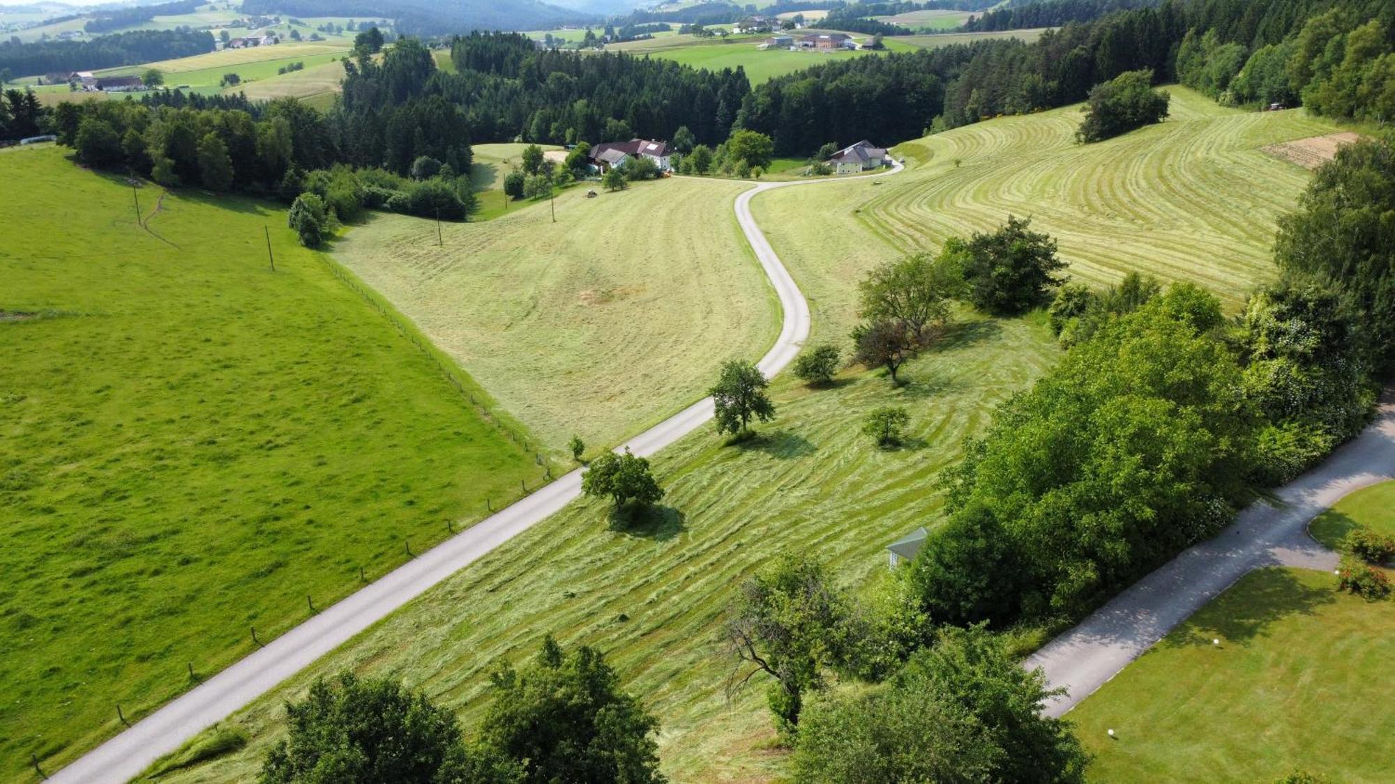 Haus Im Gruenen Prázdninový dům *